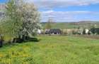 Teren intravilan 1800 mp, Pocoleni (Radaseni) - forma dreptunghiulara, posibilitate parcelare - 7
