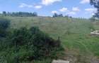 Teren Construcții intravilan de 9600 mp, în Topești - 3