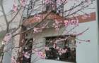 Casa tip duplex premium, complet mobilata ?i utilata | Sanpetru - 1