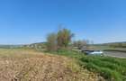 Teren Construcții intravilan de 4367 mp, în Hidișelu de Sus - 6