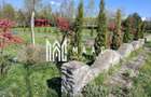Teren Intravilan | 1150 mp | Saliste - 1