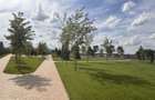 3 Camere | 2 Bai | Parc Privat 6.000 mp | Dezvoltator | - 11