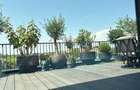 REA1021700 Penthouse 5 camere lux cu 3 parcari Pipera - 6