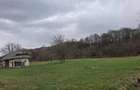 Teren de 5500 mp, în Făurești - 3