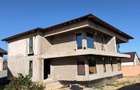 Vand Casa Palazu Mare - 6