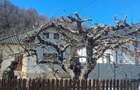 vanzare casa - 1
