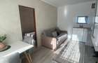 Apartament cu 2 camere semidecomandat în Tătărași - 2