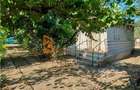 Casă individuală cu 4 camere cu Teren 973 Mp în Lipia - 3