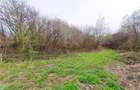 Teren intravilan de 1683 mp, în Lunca Calnicului - 14