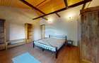 Hotel/Pensiune, de 31.60000038147 mp, în Sohodol - 14