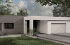 Casa Mitocu Dragomirnei - 1