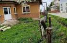 Vand casa Dangau Mare - 2