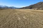 Teren de 2800 mp, în Turnu Roșu - 15
