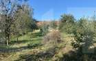 Casă individuală cu 2 camere cu Garaj în Brateș - 6 Casă individuală cu 2 camere cu Garaj în Brateș - 6