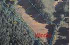 Teren intravilan si extravilan Valea Gepis Bihor - 2