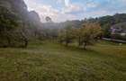 Casa de vanzare cu gradina teren de aprox 7000 mp,6.5 euro mp - 9