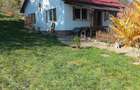 Casa din 2019 cu 4300 mp intravilan, livada bio ?i vie la 45 min de Cluj - 2