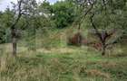 Casă individuală cu 4 camere cu Teren 6000 Mp în Iara - 6