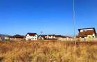 Teren Construcții intravilan de 6000 mp, în Ghimbav Livadă - 6