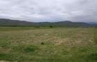Teren Talmaciu 7,000 mp acces drum national - 5