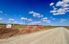 Teren Construcții de 30500 mp, în Livezi - 3