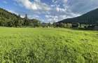 Pamant i travilan Brodina - 1