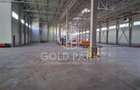 Spațiu industrial, de 3,400 mp, în Gilău - 12
