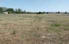 Teren de 15000 mp, în Central - 1