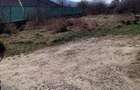 Vand teren intravilan strada codrului Nr 17 D Bistrita - 4