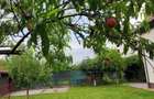 Casa 3 camere Domnesti - 11