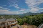Apartament cu 4 camere decomandat în Drumul Poienii - 25