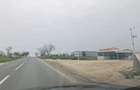 Teren Construcții de 5000 mp, în Agigea - 7