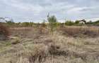 Teren Construcții intravilan de 5000 mp, în Ciorogârla - 4