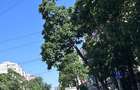 Apartament cu 3 camere în Clucerului - 1