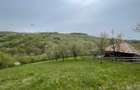 Casa, livada si padure in com Batrana judetul Hunedoara tinutul padurenilor. - 8