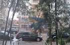 Parcul Florilor - Hatisului - 9