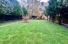 A 1607 De vanzare casa singur in curte in Tg Mure? - 7 Noiembrie - 4