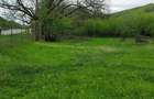 Casa + 9800 mp teren, Cotmeana -Arges, zona verde, potential turistic - 1