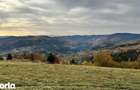Teren Comuna Horea 17278m2. Apuseni - 1