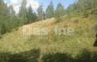 Teren de vanzare Moisei, Maramure? - Moisei (Maramures)