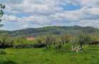Casă cu 7 camere cu Teren 20855 Mp în Curtea de Argeș - 3