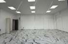 SAD 50mp | Pretabil Birouri, Patiserie, Carmangerie | Blascovici - 5