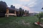 Spațiu comercial, de 1,626 mp, în Curtea de Argeș - 14