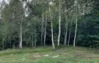 Gospodarie | 315mp | 12 500mp | Ramnicu Valcea - Copacelu | Proprietar - 3