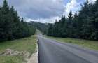 Vand teren intravilan 1550 mp pe Semenic la 1400 m altitudine - 6