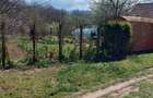 Resita, Teren / gradina. Calea Caransebesului - 6