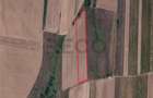 Teren Construcții intravilan de 7251 mp, în Uileacu de Munte - 3