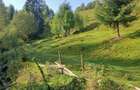 Teren în Măguri - 1