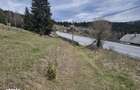 Teren de vanzare in Bucovina Pasul Mestecanis - 6