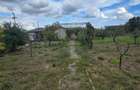 Exclusivitate-Vadu, zona centrala, casa 75mp, teren 1917 mp/31ml deschidere - 7